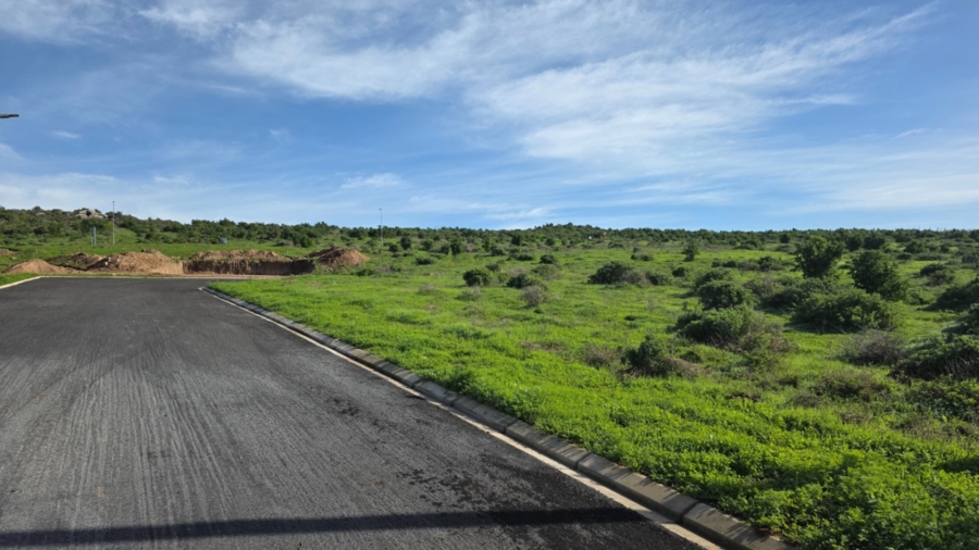 0 Bedroom Property for Sale in Welgedaan Estate Western Cape